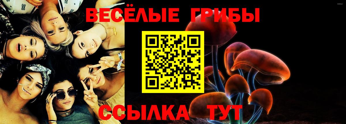 Шелехов  Галлюциногенные грибы прущие грибы  наркота  Вход с VPN 